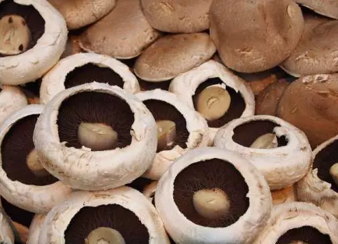 http://www.czmxfood.com.cn/ewebeditor/uploadfile/20170914091257506001.png