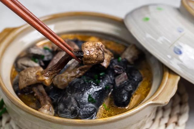 國(guó)家蘑菇地理：中國(guó)哪里的蘑菇最好吃？