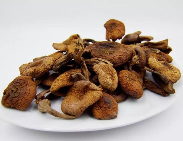 國(guó)家蘑菇地理：中國(guó)哪里的蘑菇最好吃？