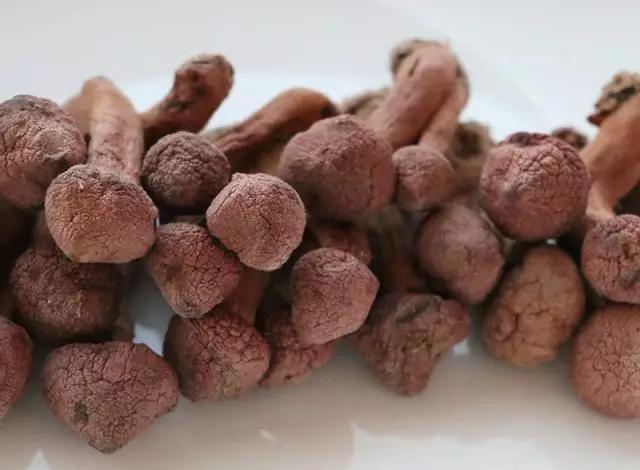 國(guó)家蘑菇地理：中國(guó)哪里的蘑菇最好吃？