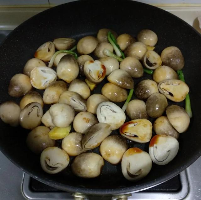 國(guó)家蘑菇地理：中國(guó)哪里的蘑菇最好吃？